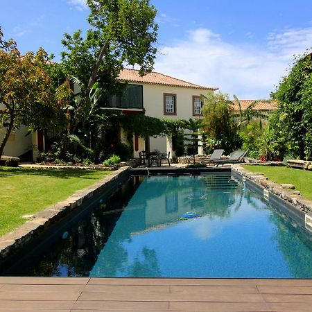 Апартаменти Quinta Araucaria Funchal Фуншал Екстер'єр фото